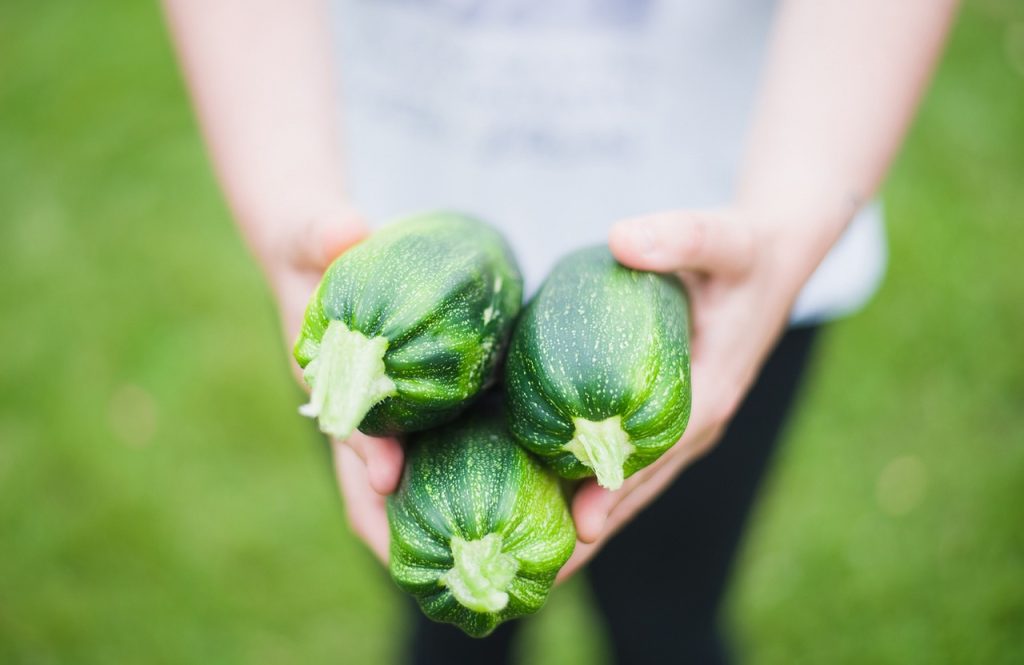 Handen met courgettes - eerste stap naar meer energie in de overgang