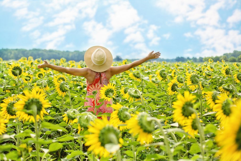 Vrouw met zonnehoed in zonnebloemen veld - fit en energiek tijdens de overgang